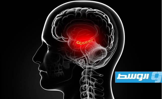 دراسة حديثة تكشف لغز الذاكرة الاستثنائية لدى كبار السن
