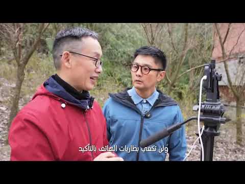 صين المال والأعمال: تناغم الطبيعة والإبداع يواد الثروة