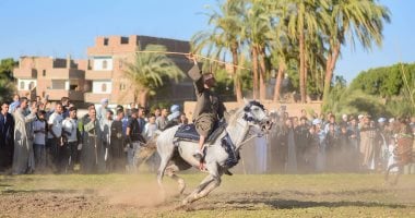 البيوت تفتح أبوابها للزوار والعشرات يتنافسون بالخيل.. حكاية مولد الأسمنتي بقنا