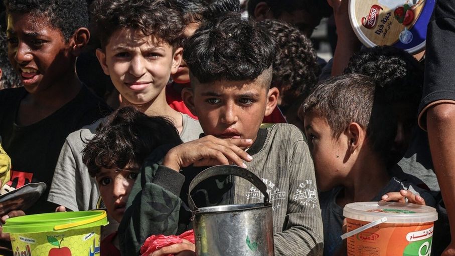 الأونروا: الجرذان تعض أطفال غزة أثناء نومهم في الخيام