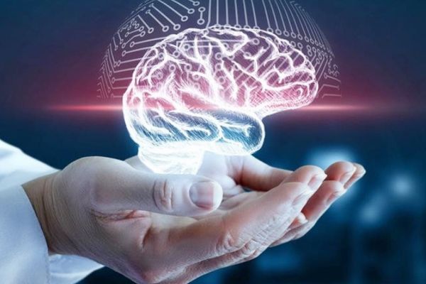 بالتزامن مع اليوم العالمي للدماغ.. دعوات للكشف المبكر وتعزيز صحة الدماغ عبر الوقاية والعادات الصحية