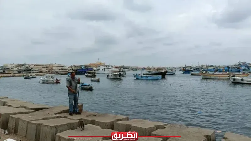 رئيس مركز معلومات تغير المناخ يحذر: درجات الحرارة ستنخفض غدا بنسبة كبيرة