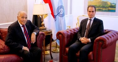 صالون ماسبيرو الثقافى يكرم اسم الراحل سيد العيسي وآخرين لاسهاماتهم الإبداعية