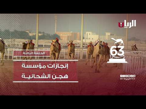 إنجازات مؤسسة هجن الشحانية .. 63 رمزاً