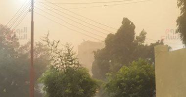 محافظة الإسكندرية تحذر المواطنين: سرعة الرياح تصل إلى 50 كم