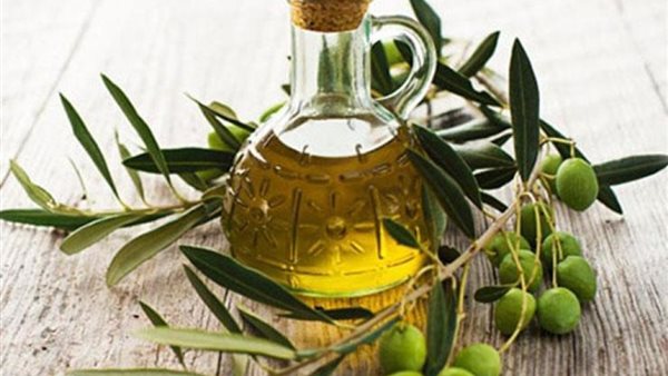 فوائد تناول زيت الزيتون على الريق، يقوي المناعة ويحسن الهضم