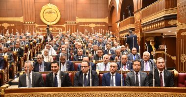 وكيل مجلس الشيوخ: لدينا 4592 مركز شباب في خدمة الشباب المصرى