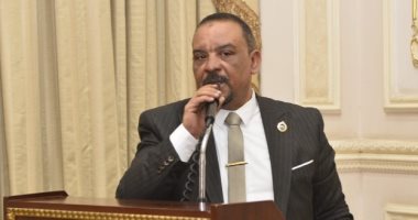 نائب بالشيوخ: مصر ستظل صوتا للحكمة والعقل فى مواجهة دعوات التصعيد والفوضى
