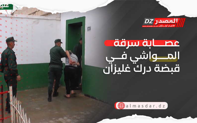 عصابة سرقة المواشي في قبضة درك غليزان