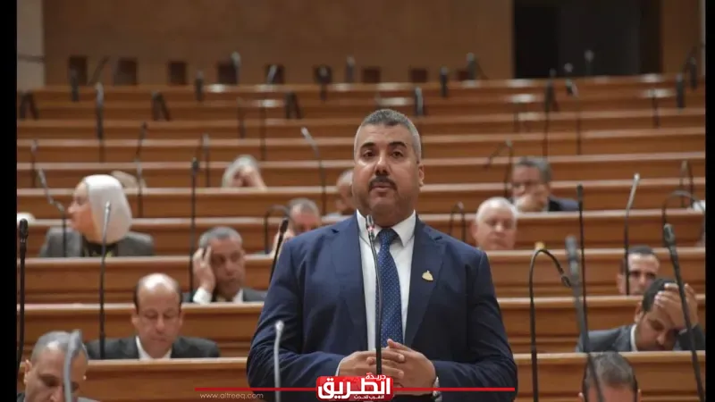 النائب عبد اللطيف أبو الشيخ يتقدم بطلب إحاطة لتدعيم وحدات الرعاية الأولية بدار السلام بـ50 ممرضًا لسد العجز