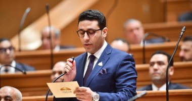 برلمانى: قرارات الرئيس في عيد العمال تعزز الحماية الاجتماعية