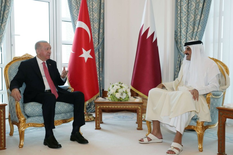 الشيخ تميم وأردوغان يؤكدان أهمية التضامن الإقليمي والتهدئة