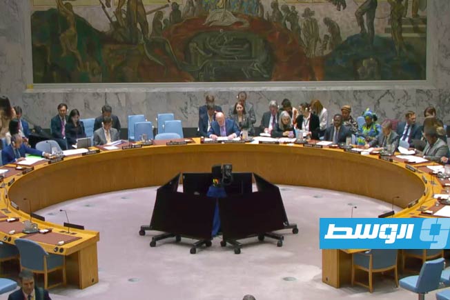 «الرئاسي» يدعو مجلس الأمن لاتخاذ تدابير بشأن نتائج «تقرير الخبراء»