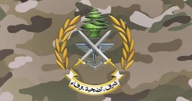 استشهاد عسكري لبناني وشقيقه فى غارة إسرائيلية بـ"خربة سلم"