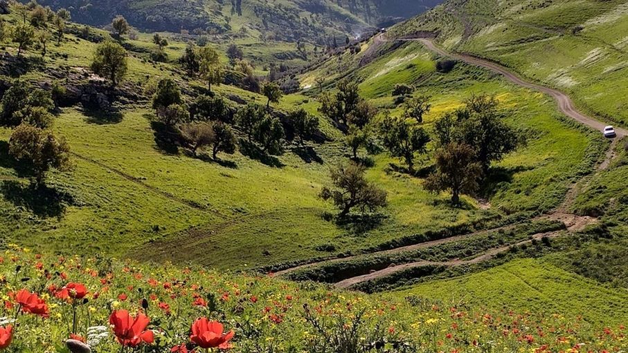 أجواء ربيعية دافئة حتى الجمعة وانخفاض ملموس السبت