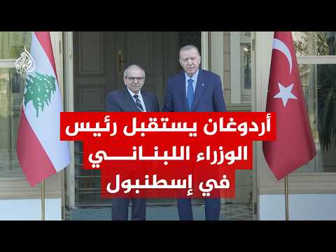 Turkish President receives Lebanese Prime Minister in Istanbul