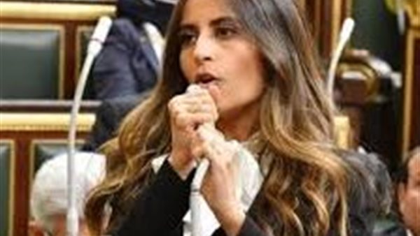 عضو لجنة العلاقات الخارجية بالنواب: الدولة تضع المواطن في قلب أولوياتها