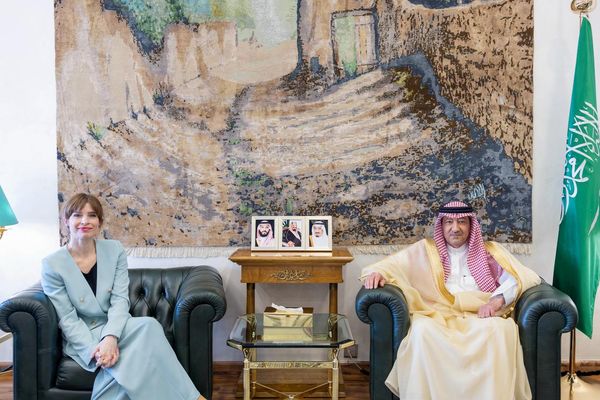 نائب وزير الخارجية يستقبل أعضاء البرلمان الأوروبي