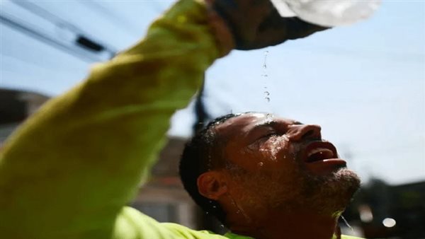 موجات تهدد الخضر.. فهيم: مصر أقل تأثرًا بالمناخ بس الصيف التحدي الأكبر|فيديو