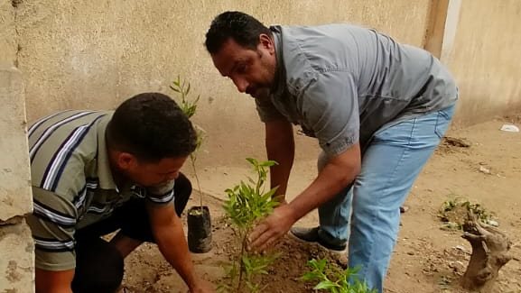 زراعة 225 شجرة مثمرة في السنطة بالغربية