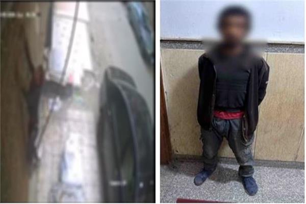 فيديو| سقوط متهم حاول اقتحام عقار بقصد السرقة في الإسماعيلية