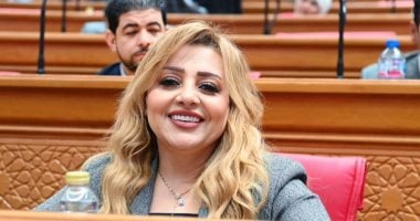 عضو خارجية النواب: تحركات الرئيس السيسى تعكس دور مصر فى ترسيخ الأمن والاستقرار