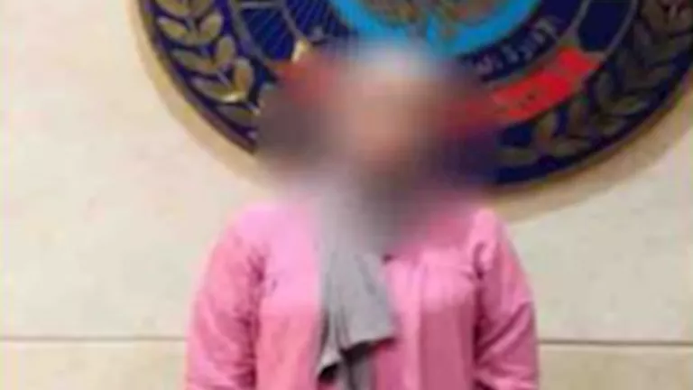 سقوط صانعة محتوى بتهمة نشر ألفاظ خادشة للحياء لتحقيق الأرباح