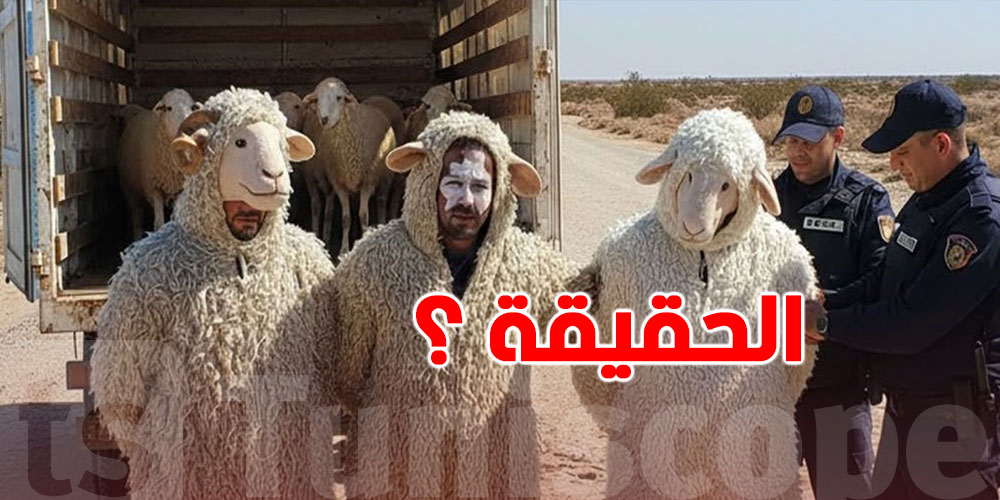 من الجزائر هربًا الى إسبانيا متنكرين ''بلبسة علالش''..شنوّة حقيقة الحكاية؟