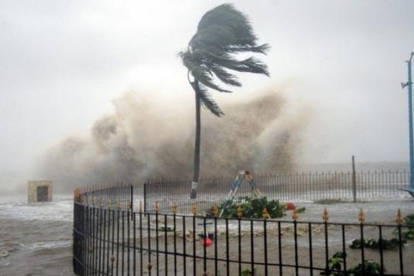 أمطار غزيرة ورياح عاتية تشلّ الحركة في نيوزيلندا