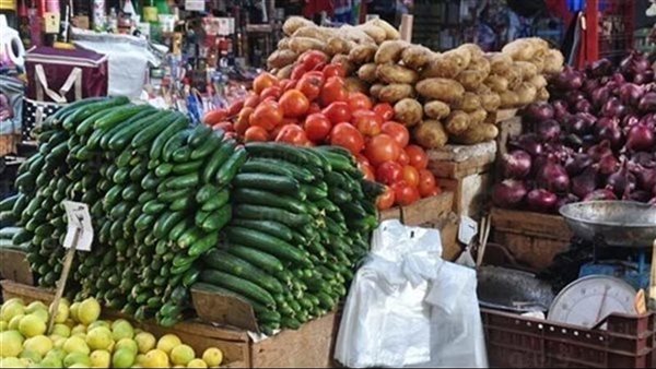 سعر الخضار اليوم، الطماطم تسجل 25 جنيها "جملة" وانخفاض كبير في البامية