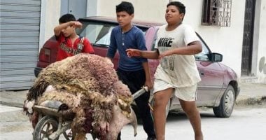 عيد أضحى بلا مخلفات جلود.. قصص أبطال الفجر لا تعرف النوم.. كيف نجحت الأحياء فى ترويض 100 ألف طن من نفايات الأضاحى؟ تجارب الجمع السكنى الذكى ترسم لوحة حضارية بالميادين .. ووعي المواطن كلمة السر فى عبور