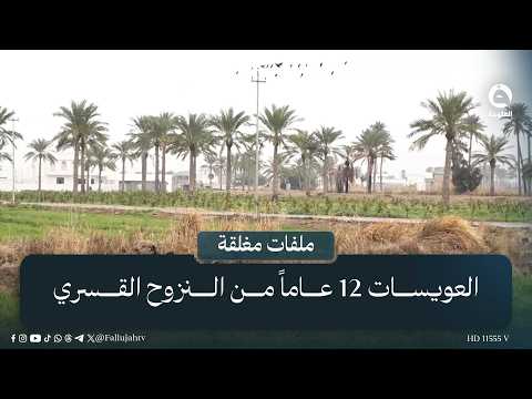 Al-Owaisat: 12 Years of Forced Displacement Awaiting the Decision to Return