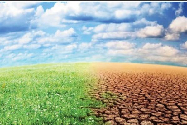 تنظيم فعاليات وطنية لإحياء اليوم العالمي لمكافحة التصحر والجفاف