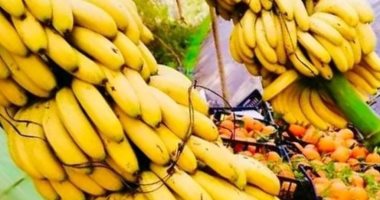 الموز يبدأ من 25 جنيها بأسواق سوهاج اليوم