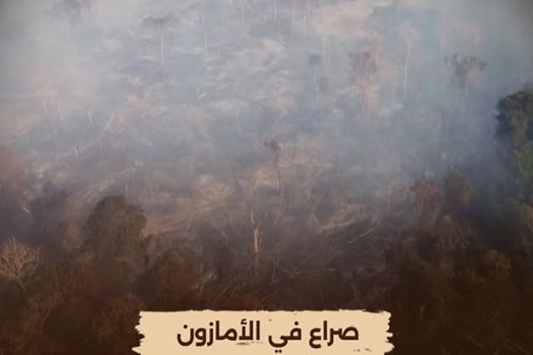 "الوثائقية" تُعيد عرض فيلم "صراع في الأمازون" مساء اليوم