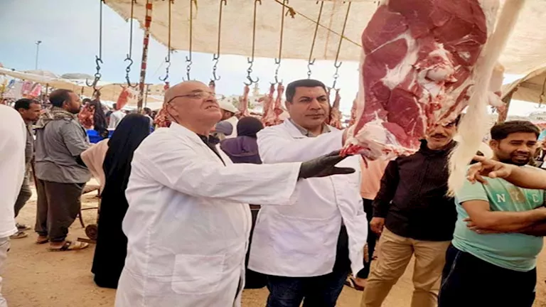 ضبط عشرات الأطنان من اللحوم غير المطابقة للمواصفات