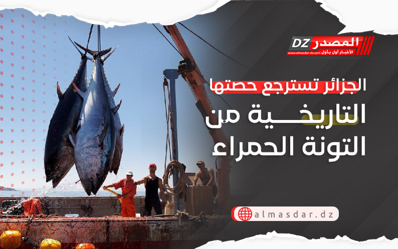 الجزائر تسترجع حصتها التاريخية من التونة الحمراء