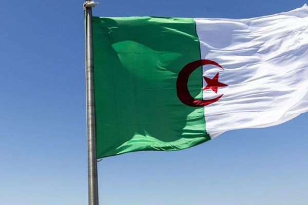 تتويج الجزائر... مكافأة إفريقيّة على دورها الرياديّ