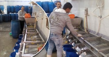 قفزة تنموية في بني سويف: 4.1 مليار جنيه لتمويل 191 ألف مشروع وتوفير آلاف فرص العمل