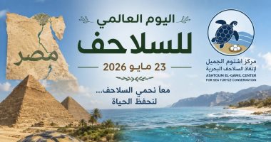 فى اليوم العالمى للسلاحف.. أول رحلة إطلاق من "أشتوم الجميل" ببور سعيد لـ"العميد" بمطروح