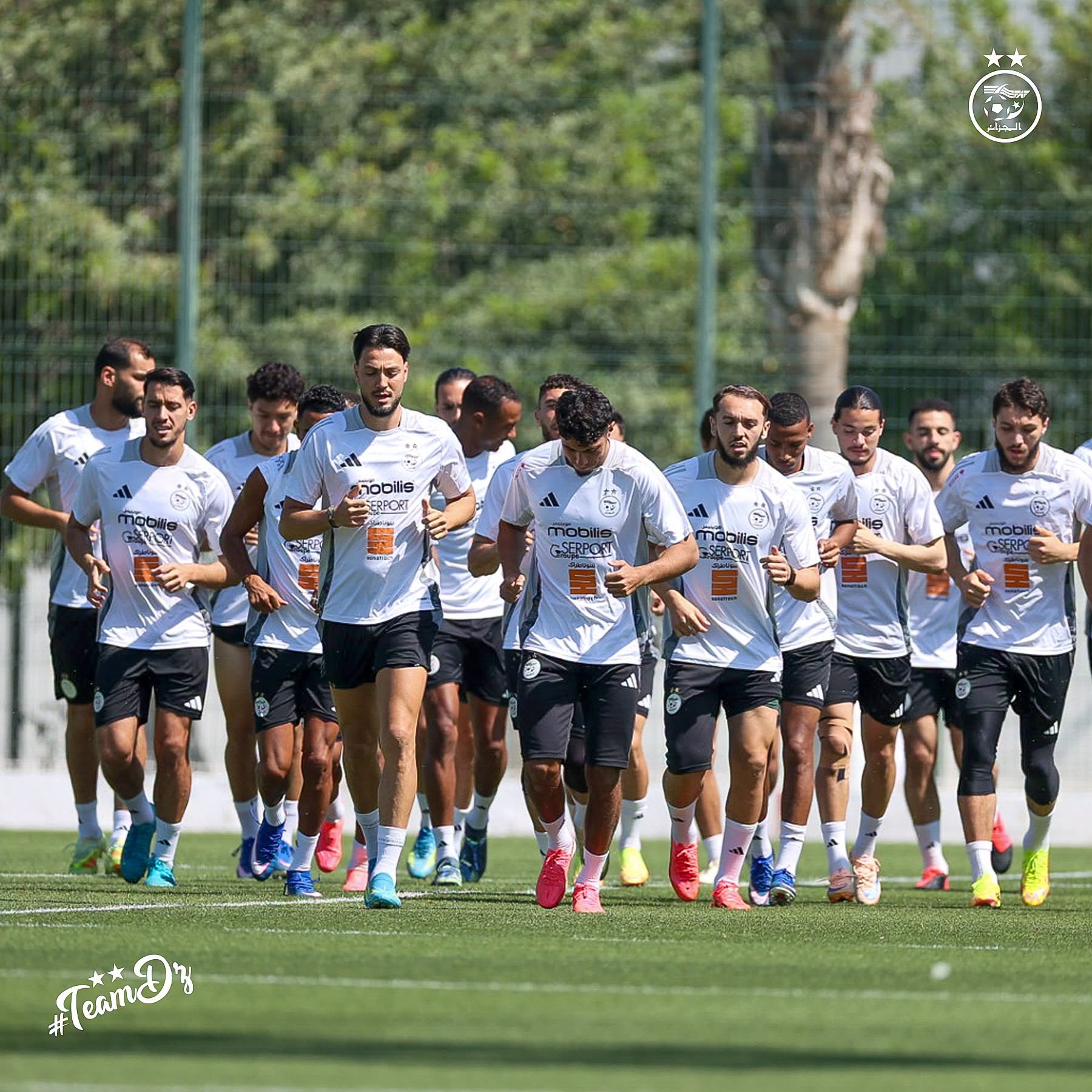 تحضيرات كأس العالم-2026 - هولندا- الجزائر : "الخضر" في اختبار حقيقي أمام منتخب "الطواحين"