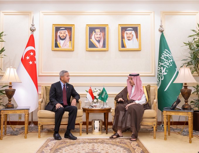وزير الخارجية ونظيره السنغافوري يبحثان مستجدات المنطقة