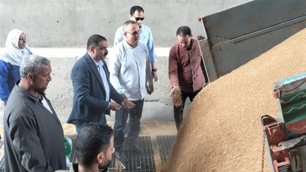 منذ بدء الموسم، توريد 5120 طنا من القمح المحلي لصوامع الدقهلية