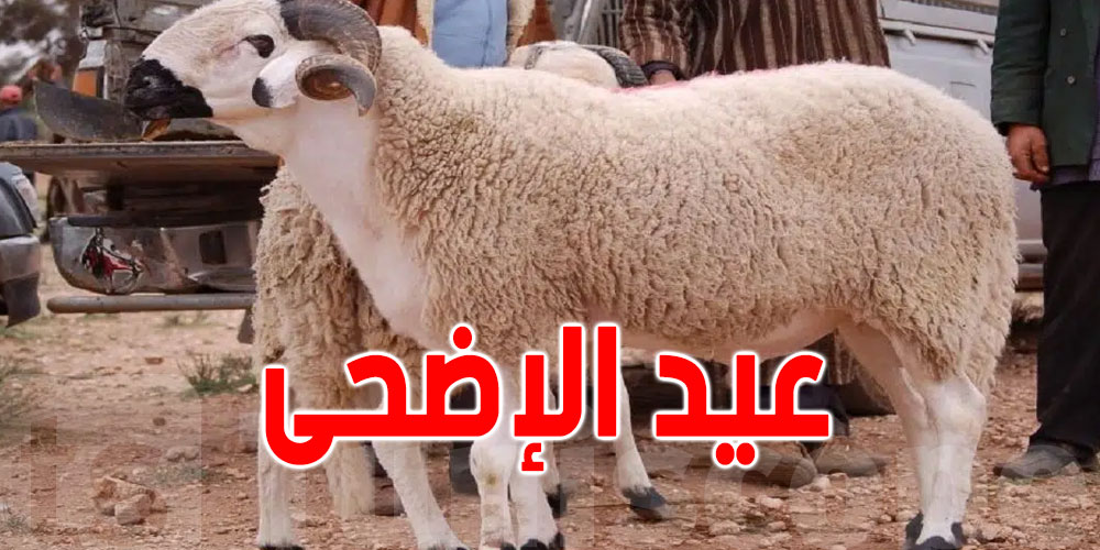 وقتاش ينجم يكون ''العيد الكبير''؟