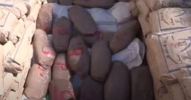 شيطان اللفافة الخضراء.. كيف يغتال البانجو مستقبل الشباب تحت ستار الوهم؟