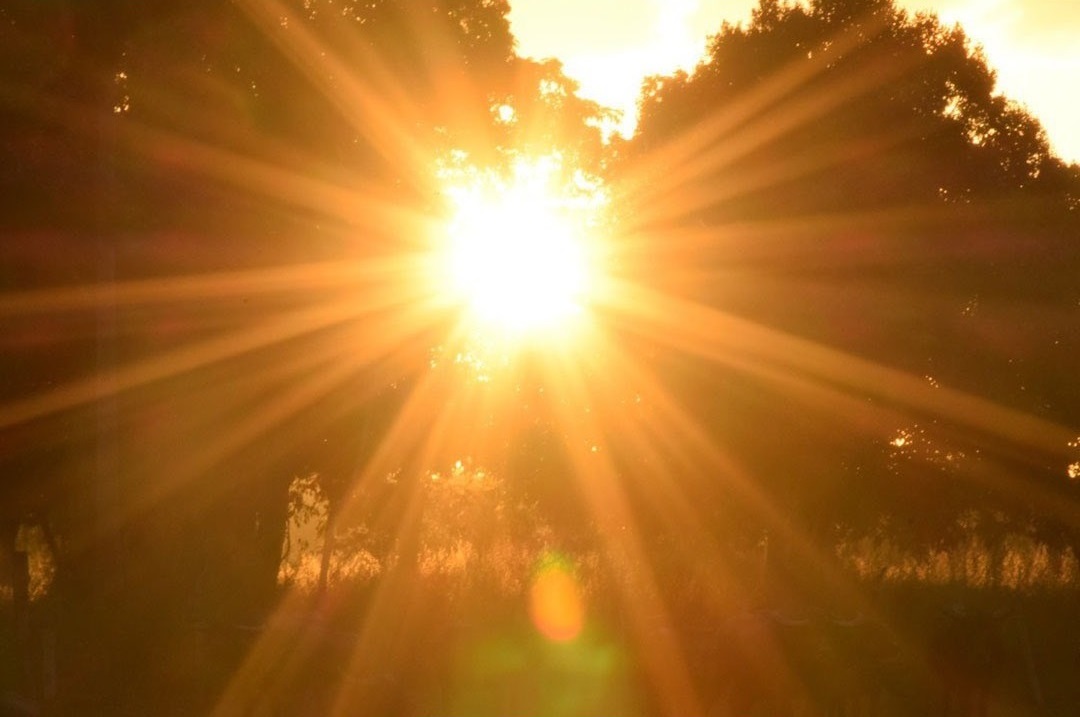 هل يكفي التعرض للشمس للحصول على فيتامين "D"؟