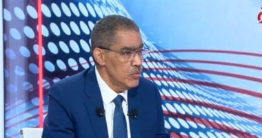 ضياء رشوان: الأمن القومي العربي لا يتجزأ من الأمن القومي المصري