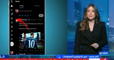 خبير: XChat سلاح إيلون ماسك الجديد لمنافسة ميتا