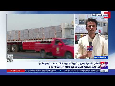 الهلال الأحمر المصري يدفع بأكثر من 92 ألف سلة غذائية وأطنان من المواد الطبية والإغاثية لقطاع غزة