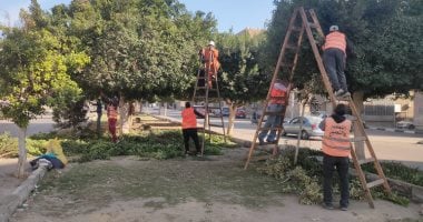 تحت شعار «جمِّل مدينتك».. الإسماعيلية تواصل حملات التشجير ورفع كفاءة الشوارع